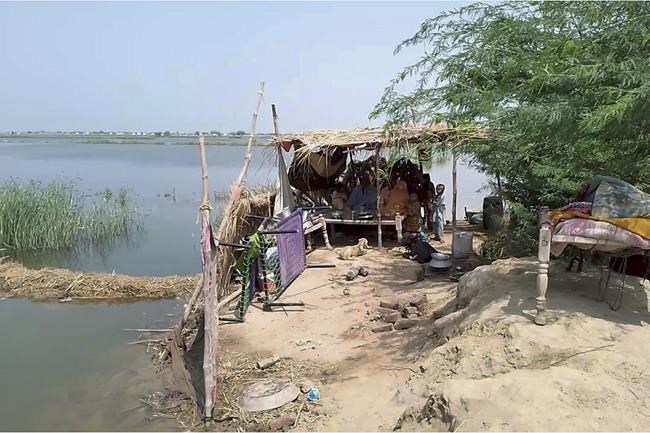 Heavy rains hit Pakistan's south as this monsoon's death toll rises to 209 | iNFOnews.ca