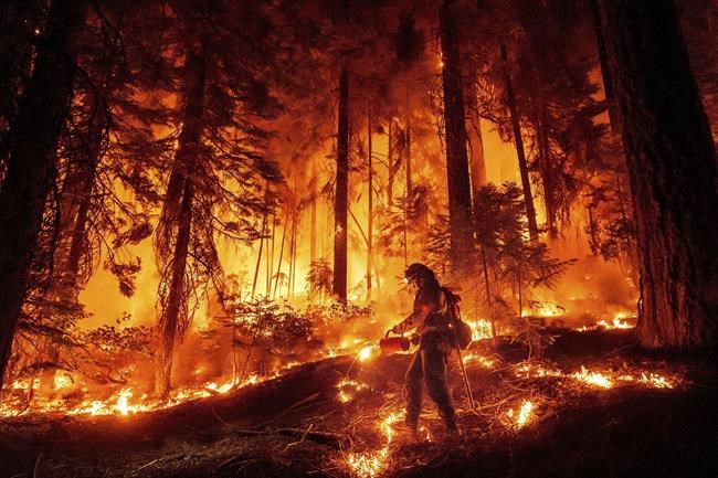 Firefighters significantly tame California's fourth-largest wildfire on record | iNFOnews.ca Firefighters significantly tame California's fourth-largest wildfire on record | iNFOnews.ca