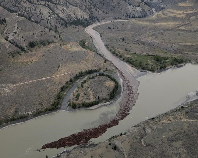 B.C. landslide 'dramatically' impacts salmon spawn but conditions improve: task force | iNFOnews.ca