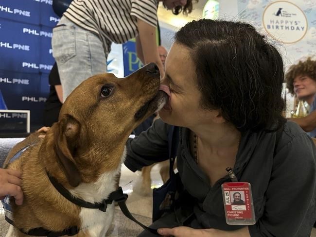 Philadelphia airport celebrates its brigade of stress-busting therapy dogs | iNFOnews.ca Philadelphia airport celebrates its brigade of stress-busting therapy dogs | iNFOnews.ca