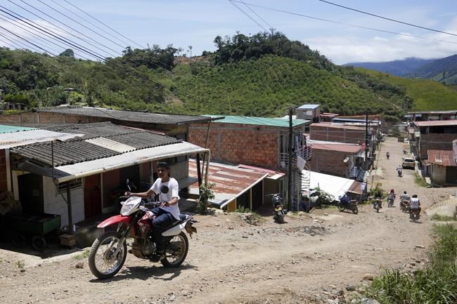 Cocaine trade in the rugged Micay Canyon threatens Colombia's peace efforts | iNFOnews.ca Cocaine trade in the rugged Micay Canyon threatens Colombia's peace efforts | iNFOnews.ca