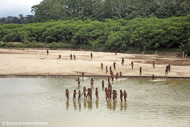 Remote Indigenous tribe kills two loggers in Peru as rights groups call for more government action | iNFOnews.ca Remote Indigenous tribe kills two loggers in Peru as rights groups call for more government action | iNFOnews.ca