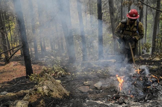 Crews slow progress of Sierra wildfire, but evacuations orders remain | iNFOnews.ca Crews slow progress of Sierra wildfire, but evacuations orders remain | iNFOnews.ca