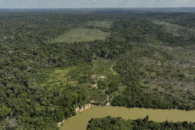 Judge in Brazil orders slaughterhouses to pay for Amazon reforestation | iNFOnews.ca Judge in Brazil orders slaughterhouses to pay for Amazon reforestation | iNFOnews.ca