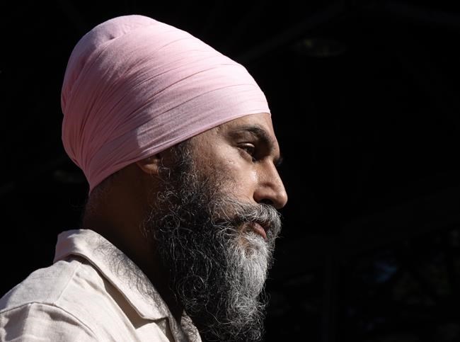 NDP used stock images from Russia, Israel after decrying Tories' foreign content use | iNFOnews.ca NDP used stock images from Russia, Israel after decrying Tories' foreign content use | iNFOnews.ca