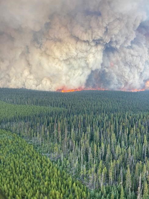 B.C. Interior wildfires show increased activity, triggering evacuation alert | iNFOnews.ca