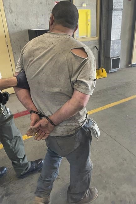 A man in California was charged with killing 81 animals in a three-hour shooting rampage | iNFOnews.ca