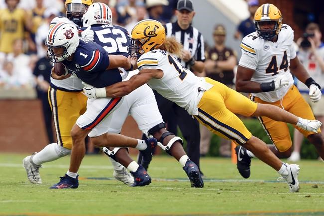 Auburn QB Thorne says angry bettors sent him Venmo requests after loss | iNFOnews.ca Auburn QB Thorne says angry bettors sent him Venmo requests after loss | iNFOnews.ca
