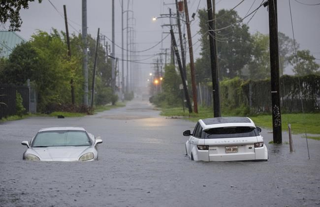 An ER nurse says it was 'second nature' to rescue a man trapped in hurricane floodwaters | iNFOnews.ca