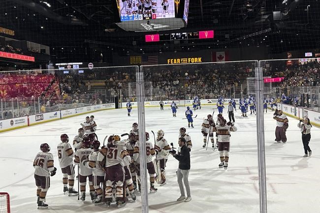 Whitehead becomes 1st CHL player to verbally commit to playing NCAA hockey | iNFOnews.ca Whitehead becomes 1st CHL player to verbally commit to playing NCAA hockey | iNFOnews.ca