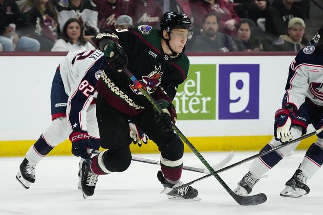 Edmonton Oilers sign defenceman Travis Dermott to professional tryout | iNFOnews.ca