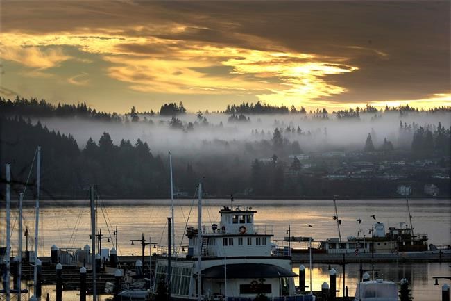 A river otter attacks a child at a Seattle-area marina | iNFOnews.ca A river otter attacks a child at a Seattle-area marina | iNFOnews.ca