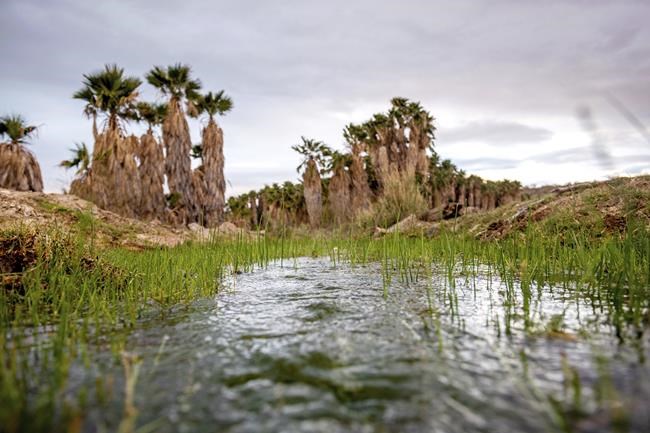 Arizona tribe fights to stop lithium drilling on culturally significant lands | iNFOnews.ca Arizona tribe fights to stop lithium drilling on culturally significant lands | iNFOnews.ca
