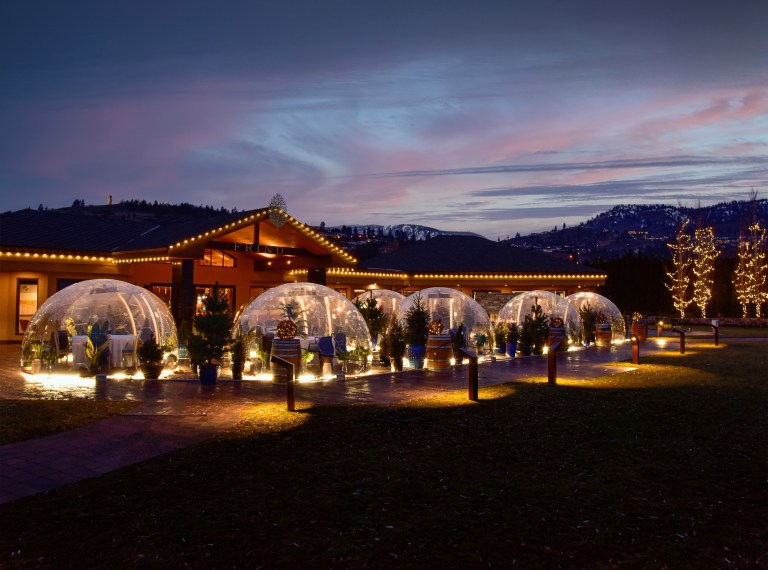 Plastic domes lit up at night.