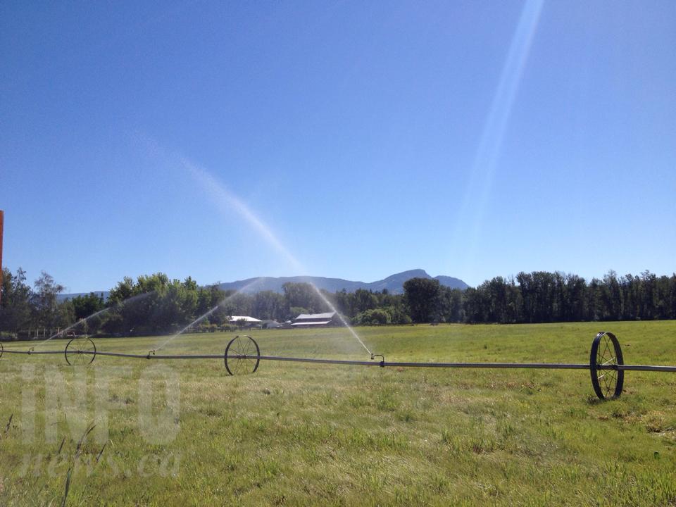 North Okanagan ranchers charged over 2023 irrigation ban | iNFOnews.ca