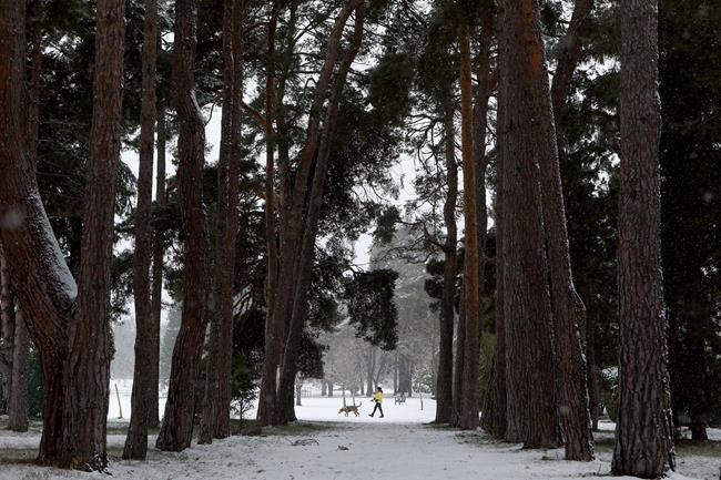 B.C.'s south coast sees first snowfall of the season | iNFOnews.ca