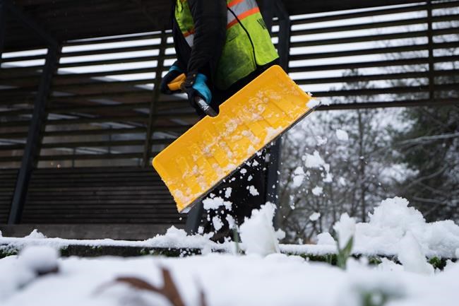 Winter's first widespread snowfall hits Metro Vancouver, with more on the way | iNFOnews.ca Winter's first widespread snowfall hits Metro Vancouver, with more on the way | iNFOnews.ca