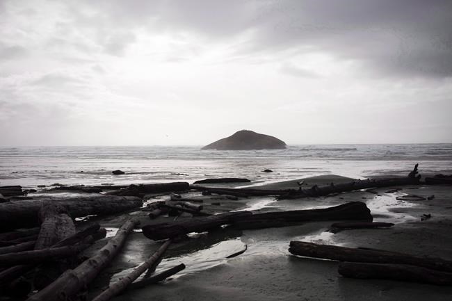 Earthquake felt on southern Vancouver Island is latest B.C. tremor | iNFOnews.ca Earthquake felt on southern Vancouver Island is latest B.C. tremor | iNFOnews.ca