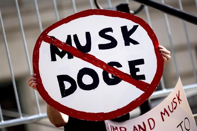 Who is Amy Gleason, the person named DOGE's acting administrator by the White House? | iNFOnews.ca Who is Amy Gleason, the person named DOGE's acting administrator by the White House? | iNFOnews.ca
