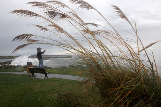 Environment Canada warns winds on Vancouver Island, Metro Vancouver may cause damage | iNFOnews.ca Environment Canada warns winds on Vancouver Island, Metro Vancouver may cause damage | iNFOnews.ca