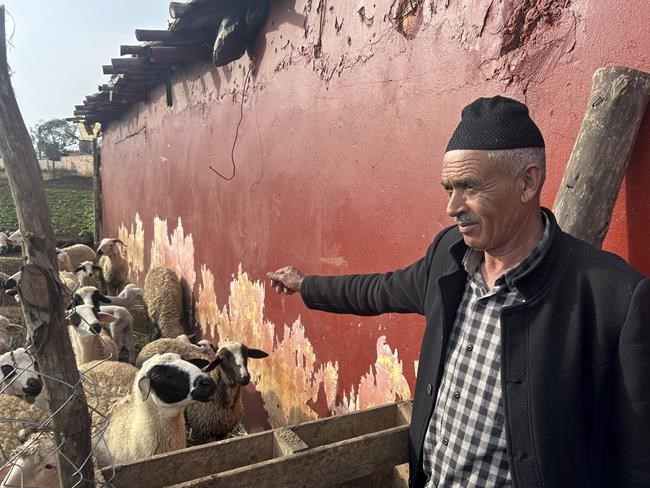 Morocco urges people to not buy sheep for Eid al-Adha celebrations | iNFOnews.ca Morocco urges people to not buy sheep for Eid al-Adha celebrations | iNFOnews.ca