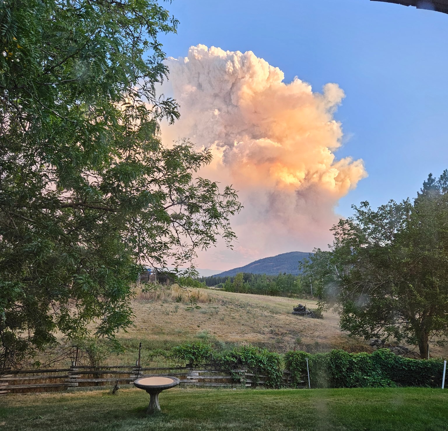 Smoke rises above a Rose Swanson in the North Okanagan.