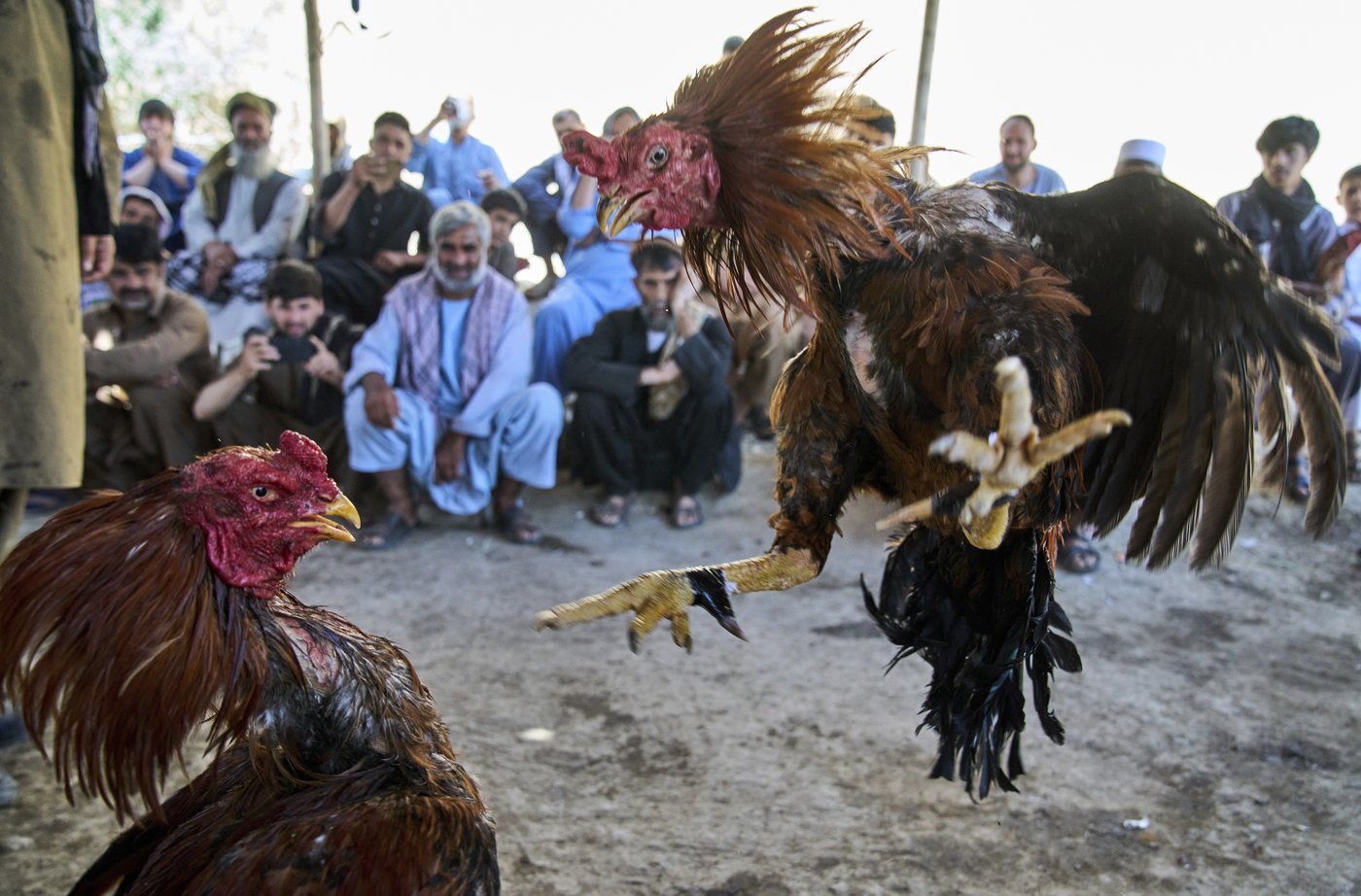 PHOTO COLLECTION: AP Top Photos of the Day, Thursday, July 3, 2025 | iNFOnews.ca