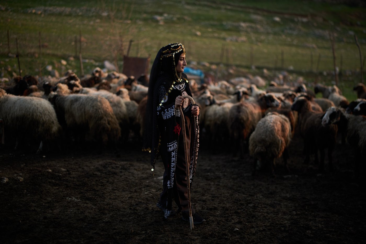 Tradition and worry at an iftar gathering near the Iran-Iraq border in photos | iNFOnews.ca