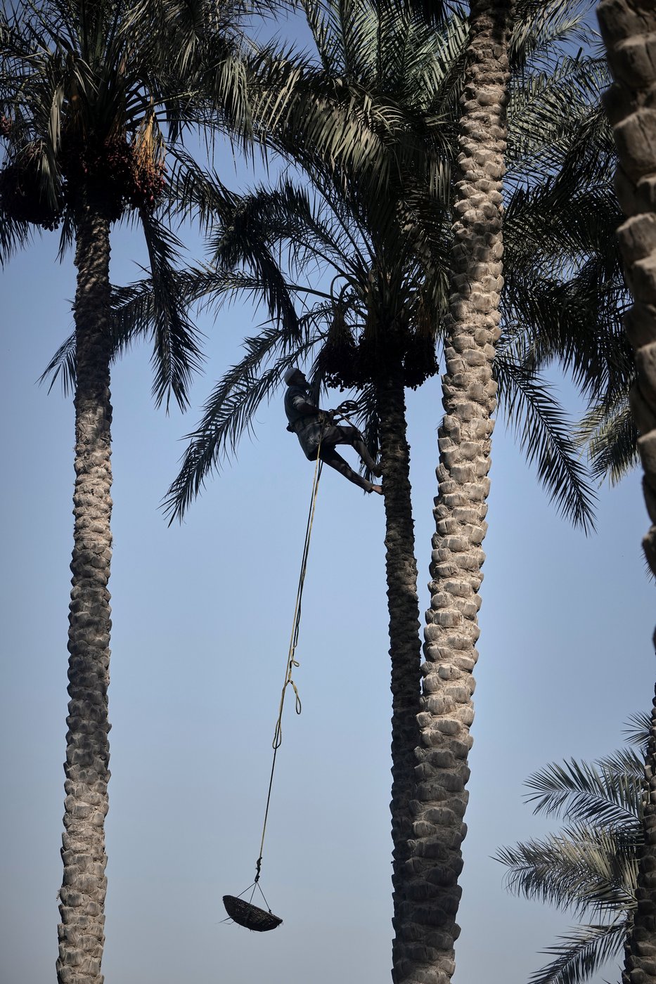 See the world in vertical: Top photos by AP photojournalists | iNFOnews.ca