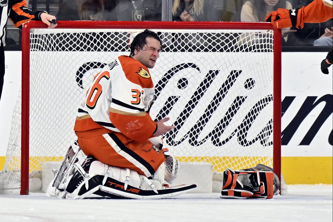 Hertl scores decisive goal as Golden Knights beat Ducks 3-1 | iNFOnews.ca