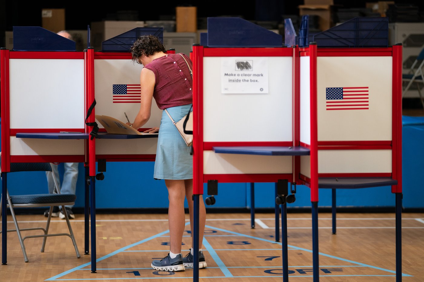 Virginia Democrats pick establishment nominees for 2 US House seats they hope to flip in November | iNFOnews.ca