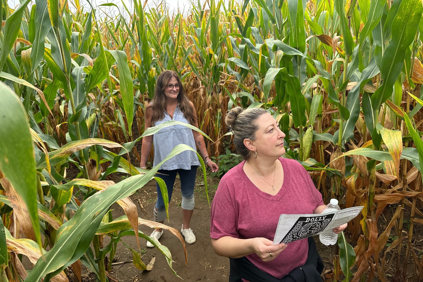 Aw shucks: Dolly Parton corn mazes crop up in fields nationwide | iNFOnews.ca Aw shucks: Dolly Parton corn mazes crop up in fields nationwide | iNFOnews.ca