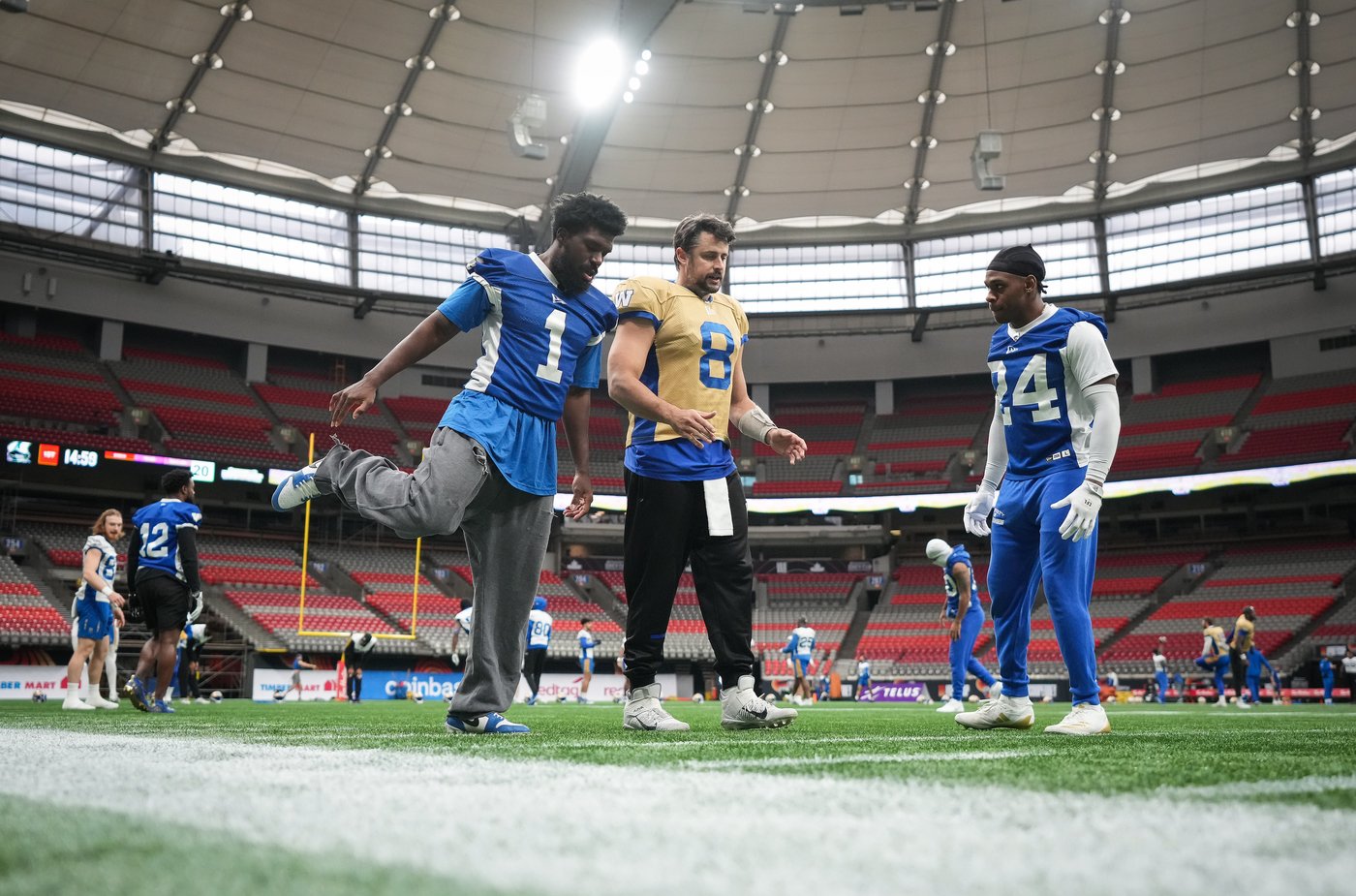 Veteran QB Zach Collaros leading 'special' Blue Bombers team into Grey Cup | iNFOnews.ca