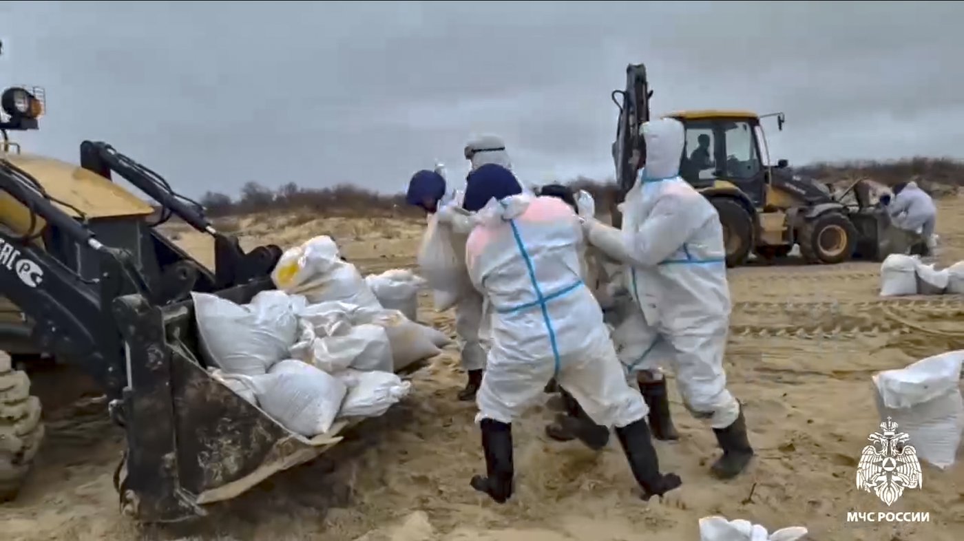More than 30 dolphins have died since an oil spill in Russia, experts say | iNFOnews.ca More than 30 dolphins have died since an oil spill in Russia, experts say | iNFOnews.ca