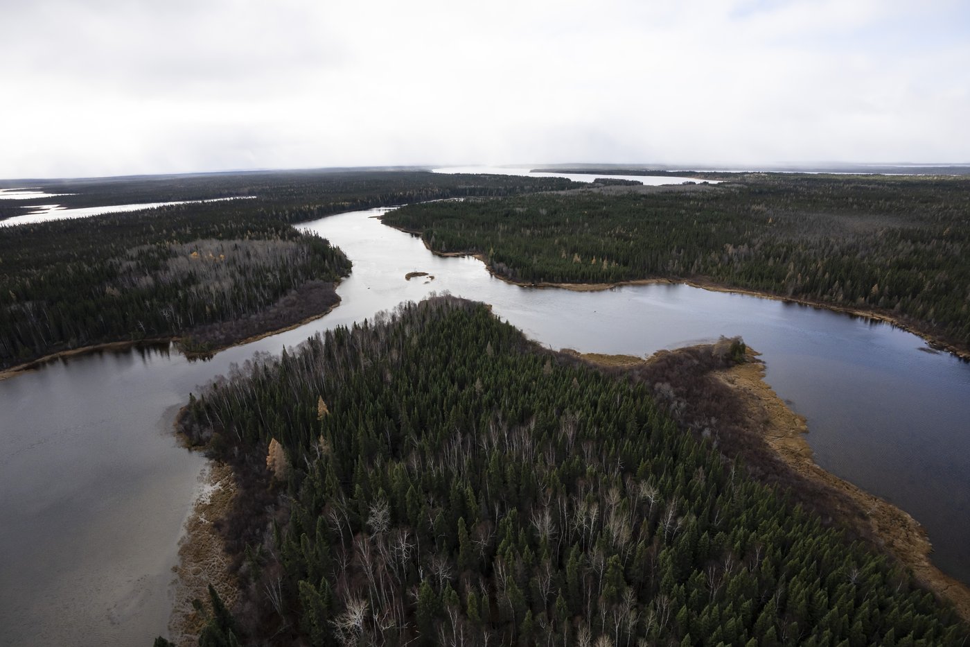 First Nations youth continue fight over Carney's major projects agenda, summit | iNFOnews.ca