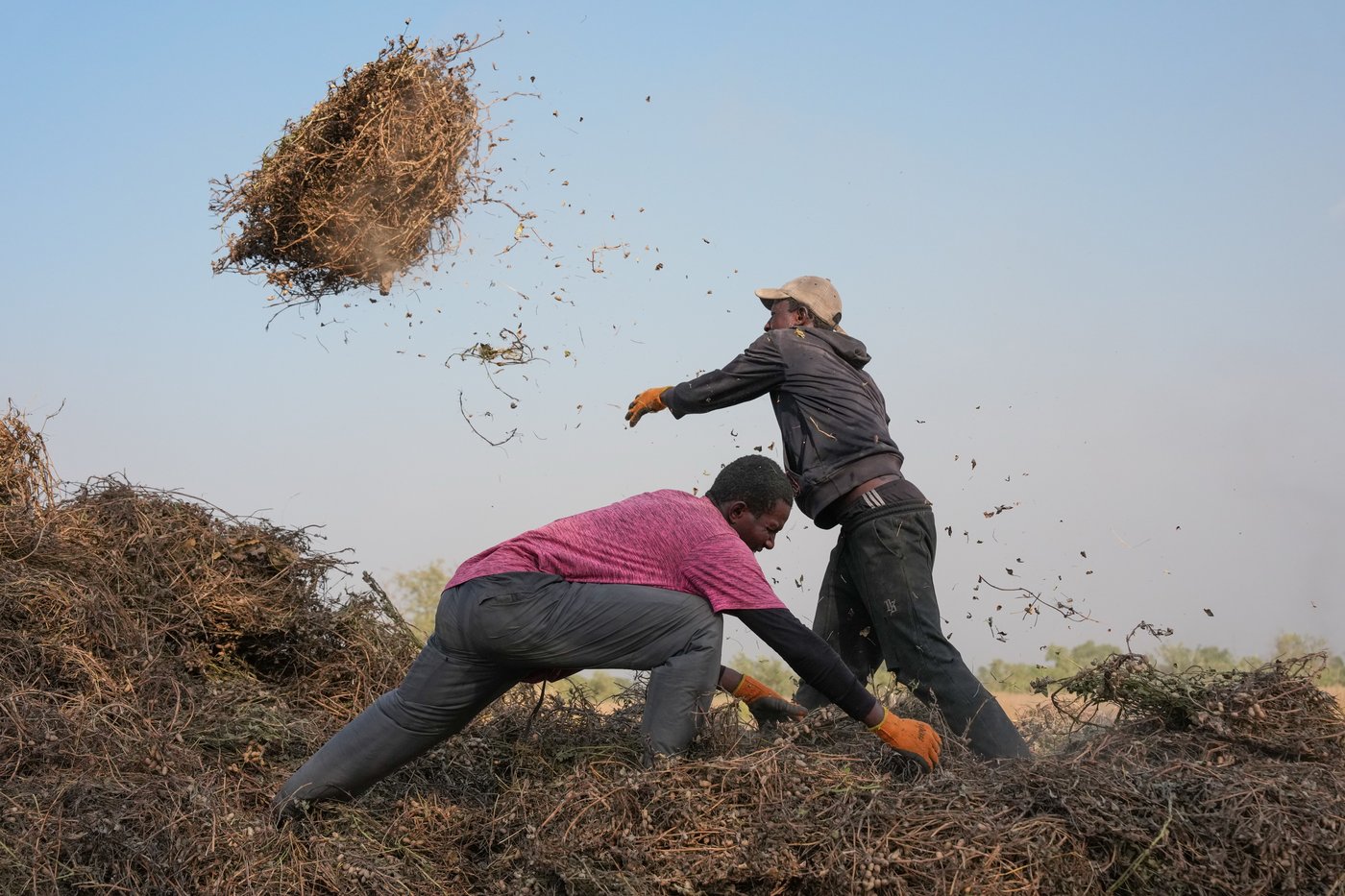 Young Africans find hope in farming as urban life becomes too expensive | iNFOnews.ca