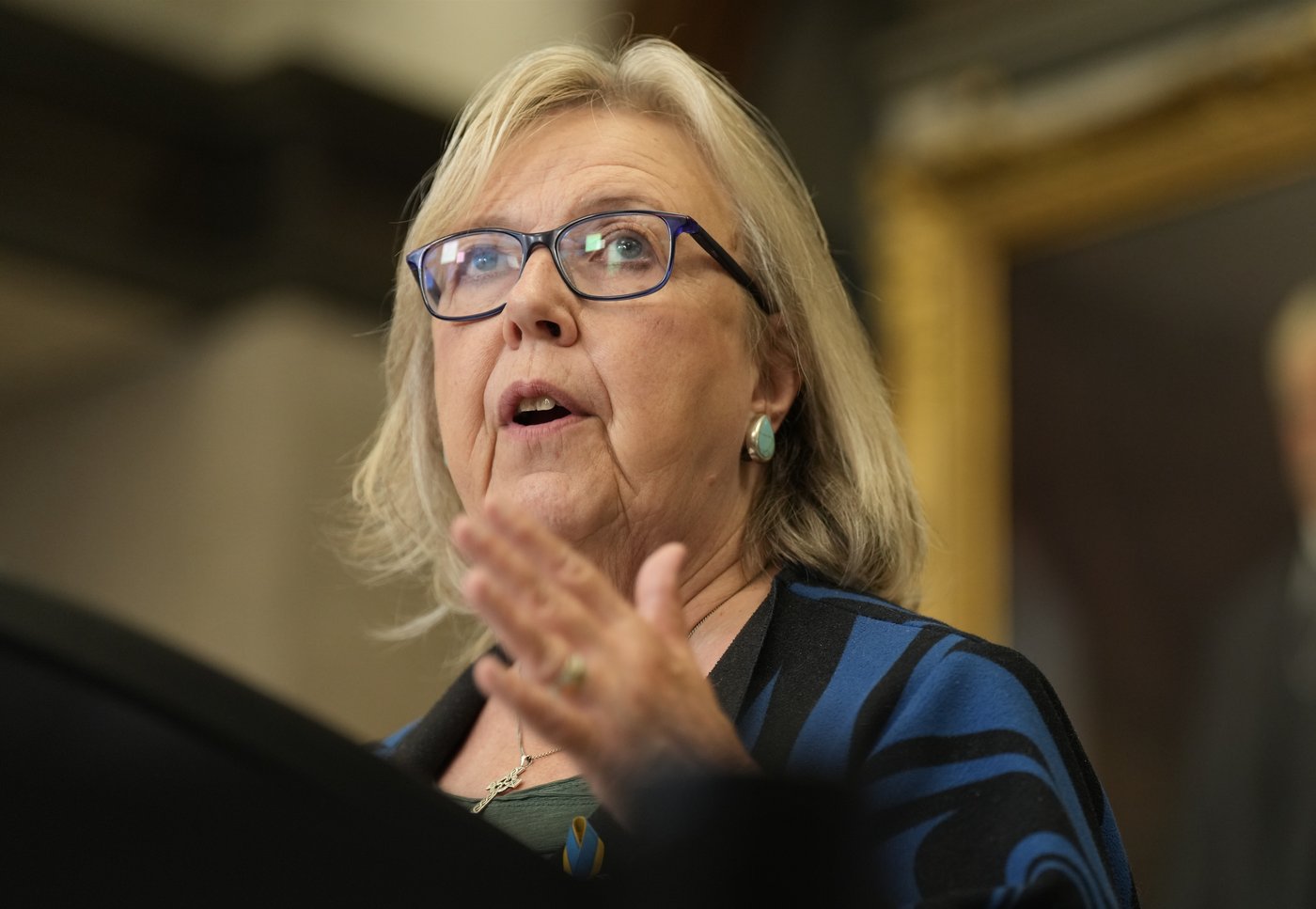May asks to stay on as Green leader after announcing plans to step aside | iNFOnews.ca May asks to stay on as Green leader after announcing plans to step aside | iNFOnews.ca