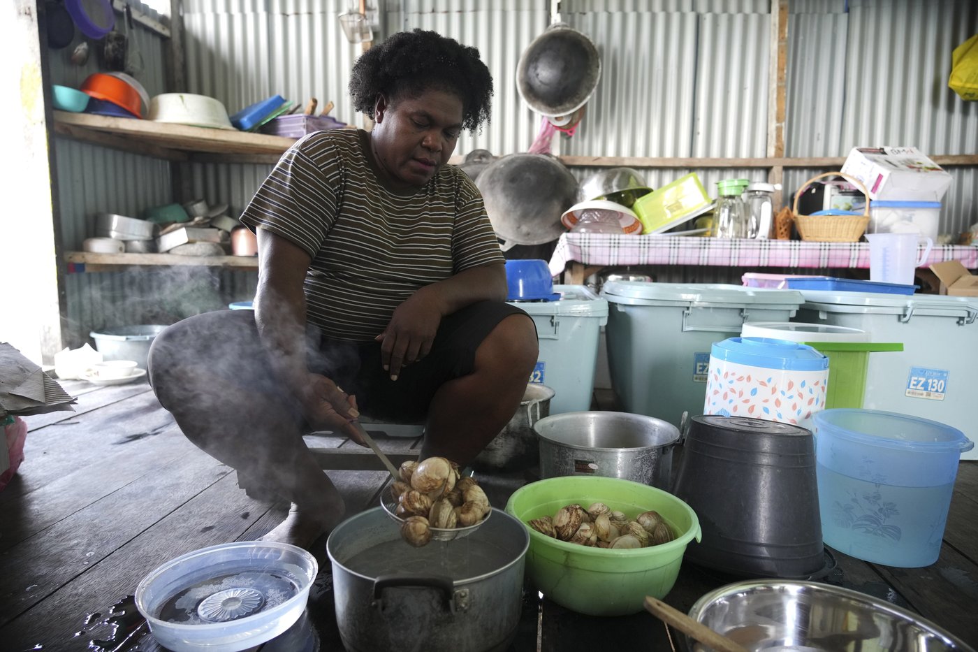 Papuan women's mangrove forest in Indonesia is increasingly threatened by development and pollution | iNFOnews.ca Papuan women's mangrove forest in Indonesia is increasingly threatened by development and pollution | iNFOnews.ca