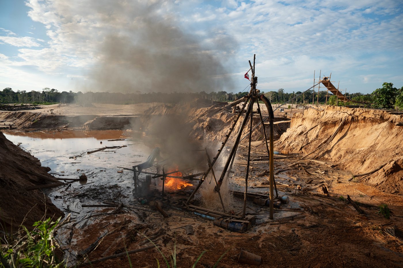 Interpol crackdown on illegal mining, logging and wildlife trafficking leads to 233 arrests | iNFOnews.ca