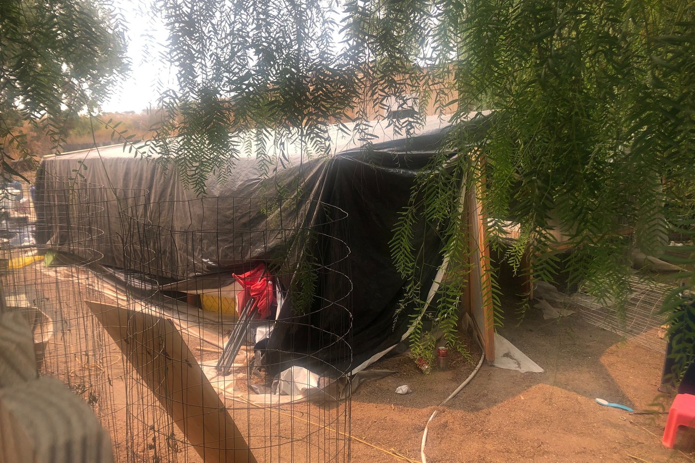 Authorities suspect gang members killed 7 workers at a California marijuana farm in 2020 | iNFOnews.ca Authorities suspect gang members killed 7 workers at a California marijuana farm in 2020 | iNFOnews.ca