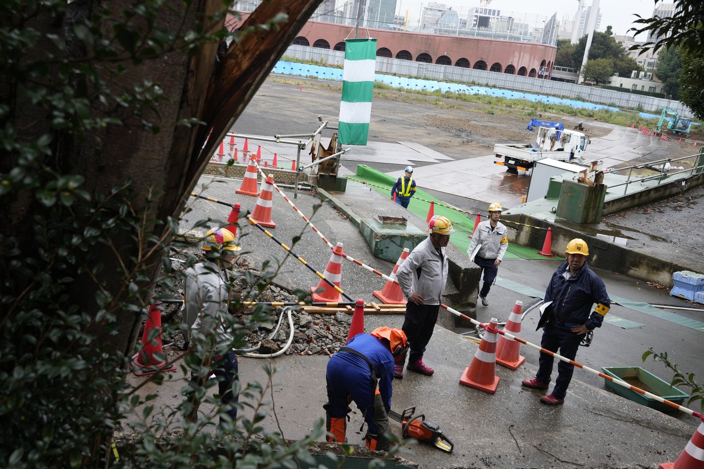 Developers begin cutting trees in a Tokyo park that environmentalists want to protect | iNFOnews.ca