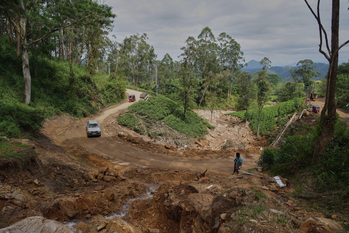 Sri Lanka tea workers struggle in poverty. Flooding cost many their lives | iNFOnews.ca