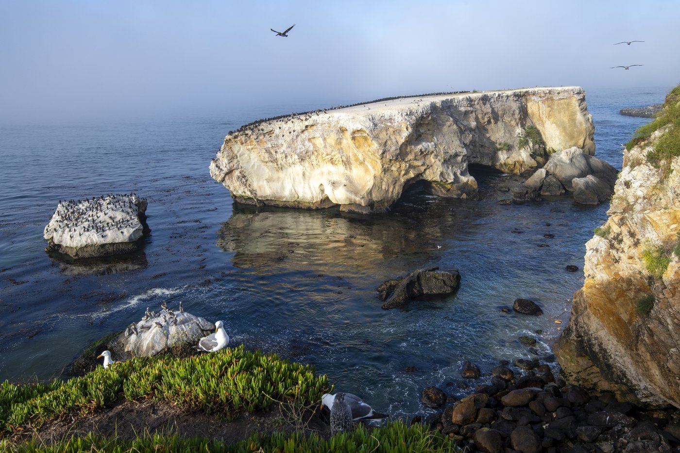 Chumash people in California to co-steward marine sanctuary in historic partnership | iNFOnews.ca