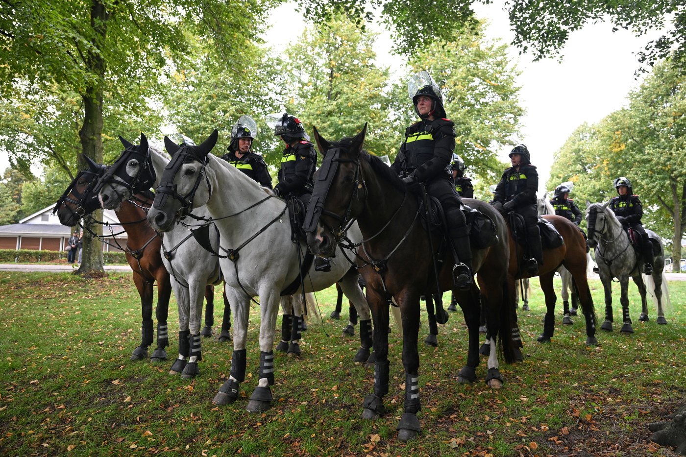 Dutch riot police break up far-right protest in The Hague after violence erupts | iNFOnews.ca Dutch riot police break up far-right protest in The Hague after violence erupts | iNFOnews.ca
