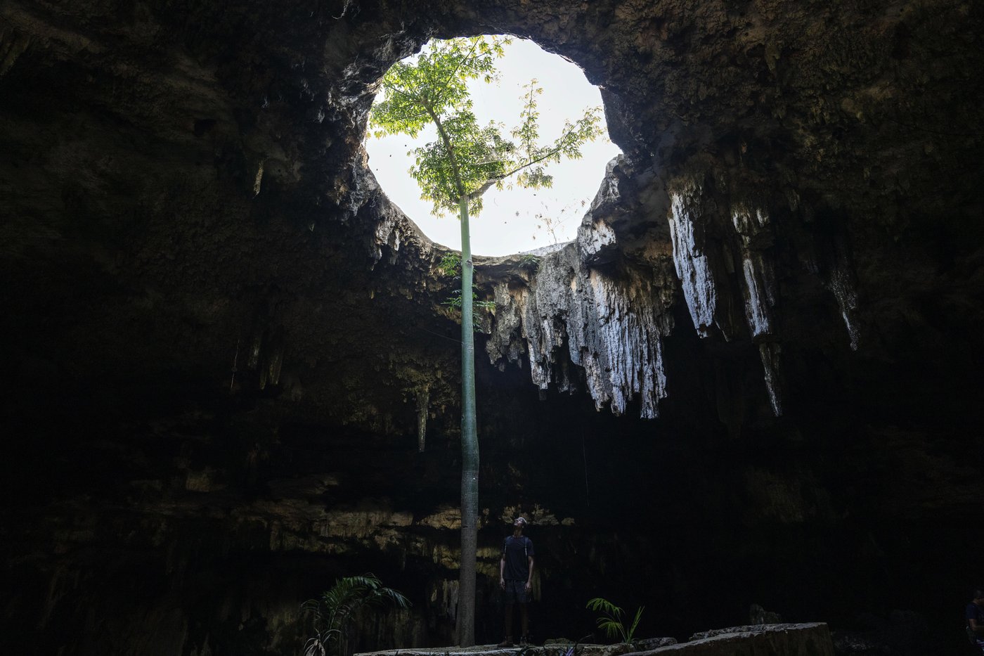 Indigenous Mayans want their sacred cenotes to have personhood status | iNFOnews.ca