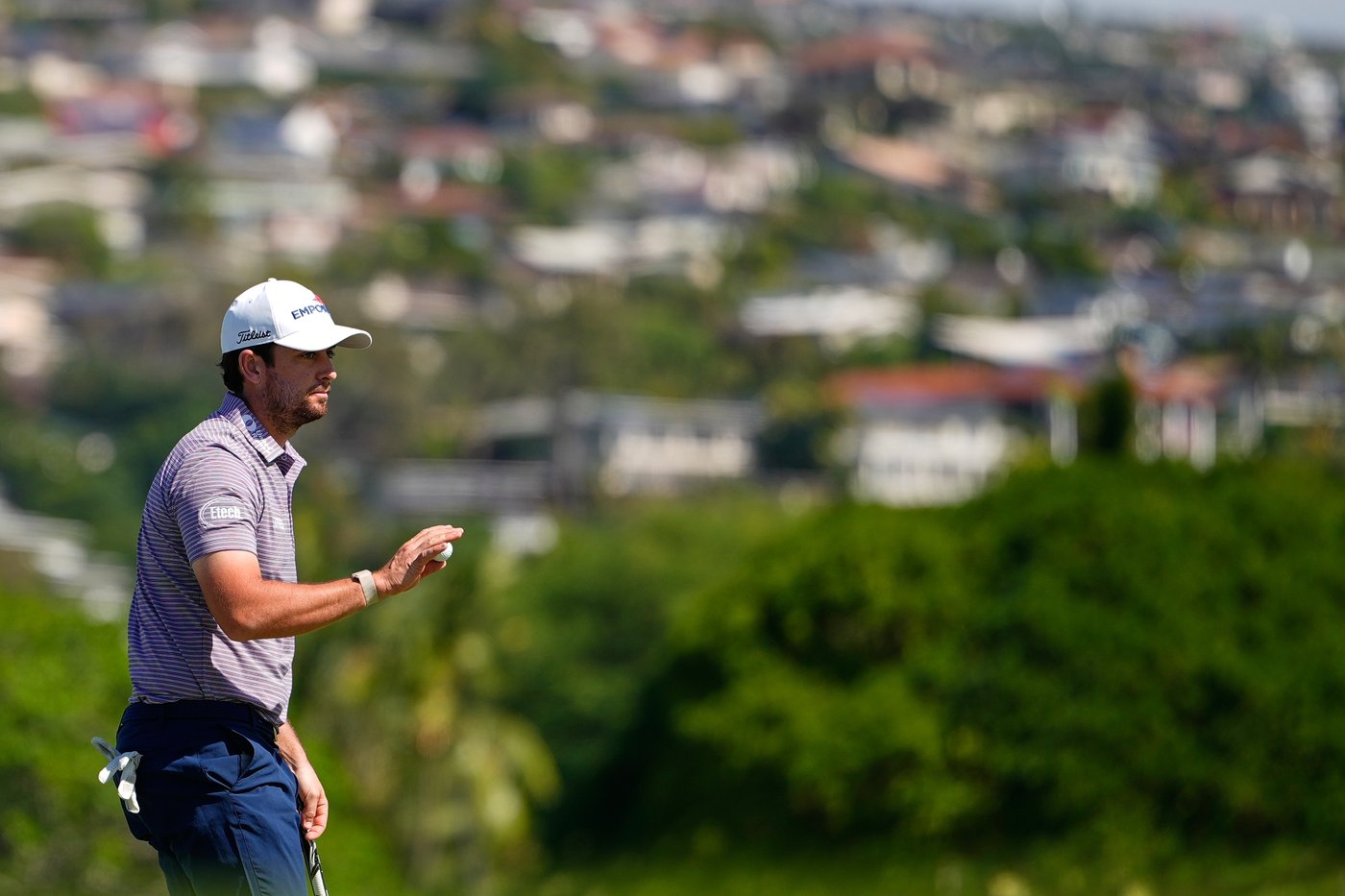Riley, defending champ Taylor part of 5-way tie for lead at windy Sony Open | iNFOnews.ca Riley, defending champ Taylor part of 5-way tie for lead at windy Sony Open | iNFOnews.ca
