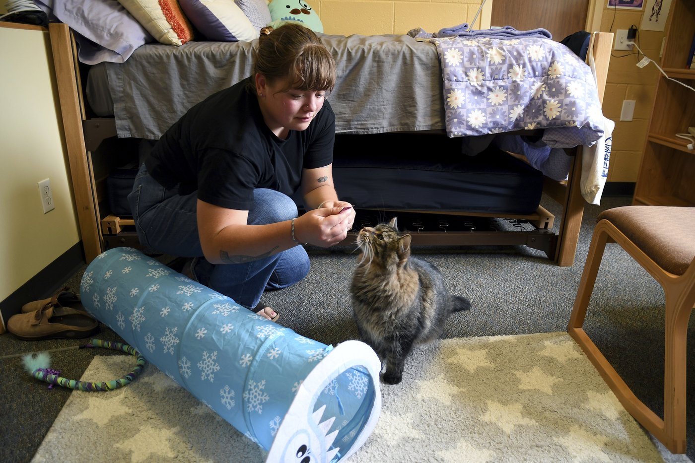 These colleges are welcoming pets in dorms to reduce students' stress and anxiety | iNFOnews.ca These colleges are welcoming pets in dorms to reduce students' stress and anxiety | iNFOnews.ca