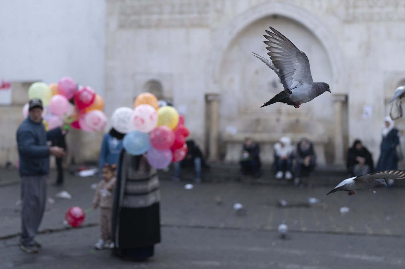 A new year dawns on a Middle East torn by conflict and change | iNFOnews.ca