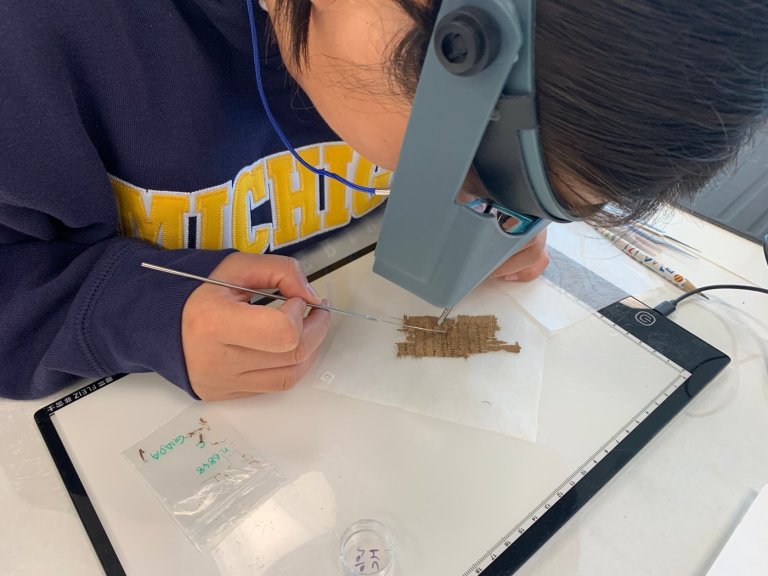 Inside one of the world's few crash courses in conserving and caring for ancient papyrus manuscripts | iNFOnews.ca