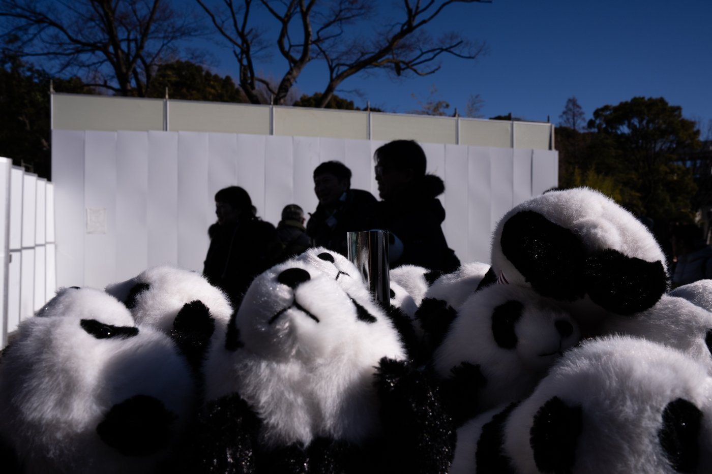 Photos shows Japan's love of pandas as twins Xiao Xiao and Lei Lei
